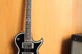 Zemaitis GZ-501-1.jpg